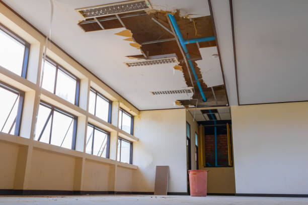 Best Local water damage restoration  in Oakland, TN