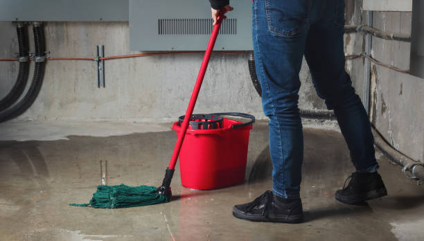 Best Professional water damage repair  in Oakland, TN