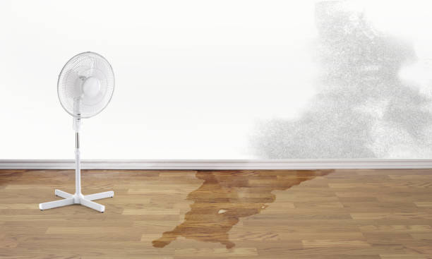 Best 24/7 water damage repair  in Oakland, TN
