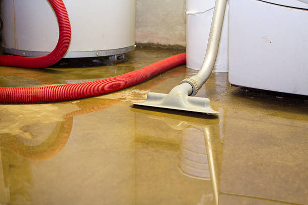 Reliable Oakland, TN Water damage restoration Solutions